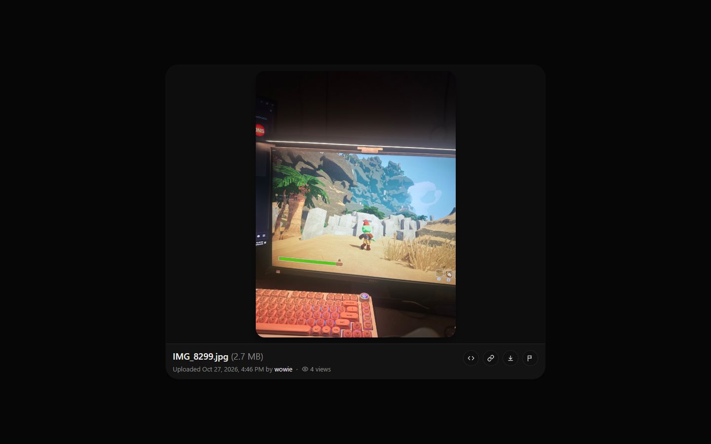 A public file page on zyo.lol